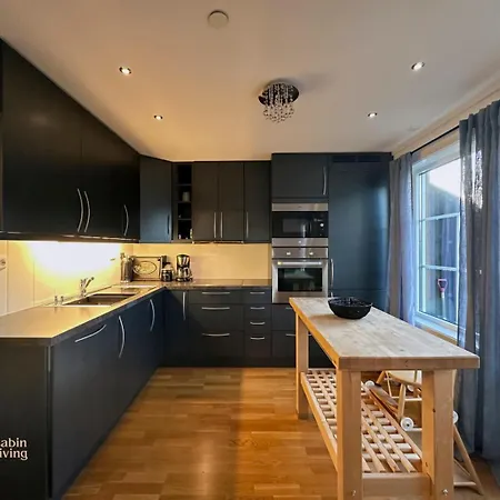 Modern In-out X-skiing, 2 Bathrooms And Balcony * Hovden (Aust-Agder)