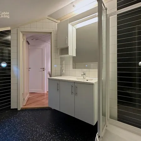 Modern In-out X-skiing, 2 Bathrooms And Balcony * Hovden (Aust-Agder)