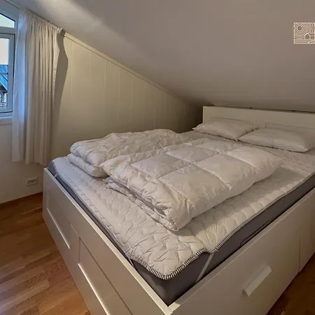 Modern In-out X-skiing, 2 Bathrooms And Balcony * Hovden (Aust-Agder)